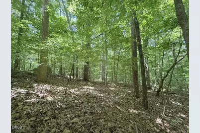 0 Buttonwood Ln, Roxboro, NC 27574 - Photo 14