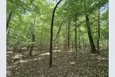 0 Buttonwood Ln, Roxboro, NC 27574 - Photo 20