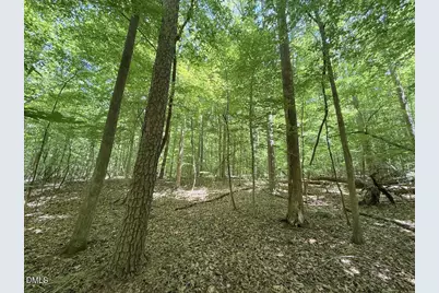 0 Buttonwood Ln, Roxboro, NC 27574 - Photo 28