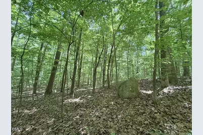 0 Buttonwood Ln, Roxboro, NC 27574 - Photo 26