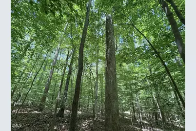 0 Buttonwood Ln, Roxboro, NC 27574 - Photo 8