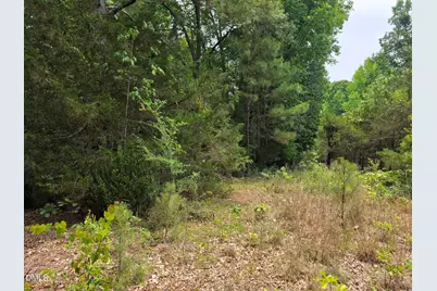 4901 Bluebird House Lane, Raleigh, NC 27616 - Photo 10