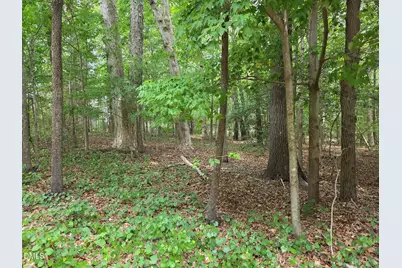 4901 Bluebird House Lane, Raleigh, NC 27616 - Photo 1