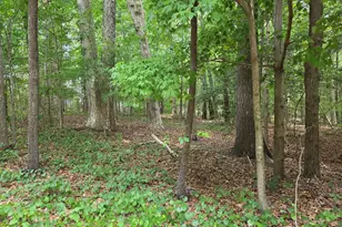 4901 Bluebird House Ln, Raleigh, NC 27616 - Photo 1
