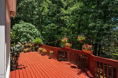 102 Buck Taylor Trail, Chapel Hill, NC 27516 - Photo 46