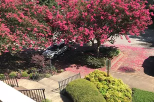 1521 Creekwood Ct, Raleigh, NC 27603 - Photo 2
