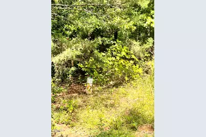 9220 Eisenhower Drive, Apex, NC 27539 - Photo 10