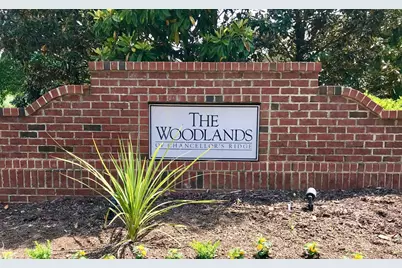 301 Intern Way, Durham, NC 27713 - Photo 30