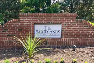 301 Intern Way, Durham, NC 27713 - Photo 30
