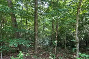 2218 Christian Light Rd, Fuquay Varina, NC 27526 - Photo 4