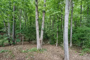406 Cricket Hearth Rd, Sanford, NC 27330 - Photo 42
