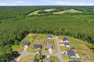 16 Sagebrook Ct, Zebulon, NC 27597 - Photo 34