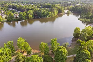 122 Poplar Branch Ln, Cary, NC 27519 - Photo 92