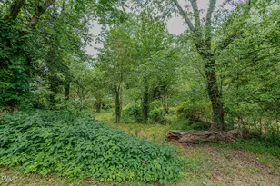 597 Parkview Dr, Burlington, NC 27215 - Photo 38