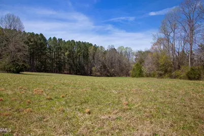 00 19 Acs Doll Branch Road, Milton, NC 27305 - Photo 4