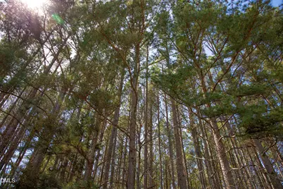 00 19 Acs Doll Branch Road, Milton, NC 27305 - Photo 10