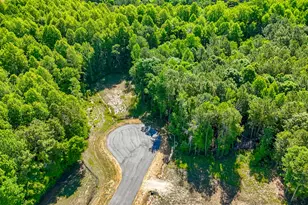 480 Bunker Hl Pl, Angier, NC 27501 - Photo 6