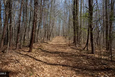 000 Doll Branch Road, Milton, NC 27305 - Photo 20