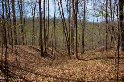 000 Doll Branch Road, Milton, NC 27305 - Photo 30