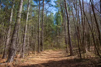000 Doll Branch Road, Milton, NC 27305 - Photo 34