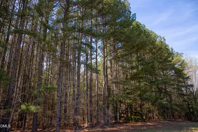 0 Doll Branch Road, Milton, NC 27305 - Photo 40