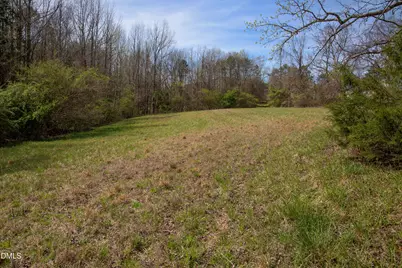0 Doll Branch Road, Milton, NC 27305 - Photo 14