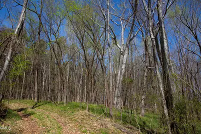 0 Doll Branch Road, Milton, NC 27305 - Photo 36