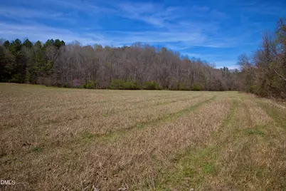 0 Doll Branch Road, Milton, NC 27305 - Photo 26