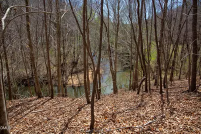 0 Doll Branch Road, Milton, NC 27305 - Photo 22