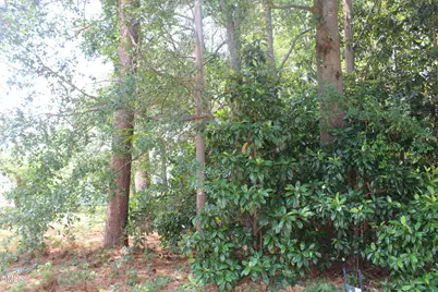 20 Grant Drive, Goldsboro, NC 27534 - Photo 4