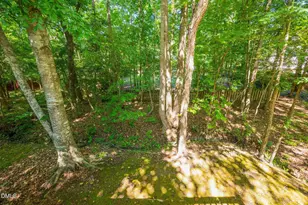 110 Brampton Cir, Clayton, NC 27527 - Photo 50