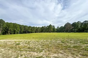 113 Pine Log Ln, Roseboro, NC 28382 - Photo 38