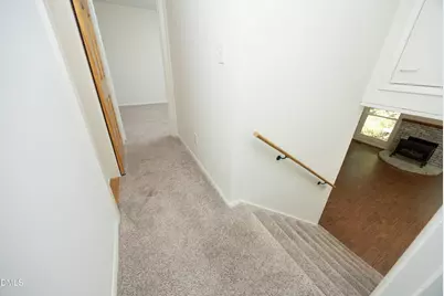 125 Lady Bug Lane, Chapel Hill, NC 27516 - Photo 24