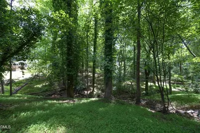 125 Lady Bug Lane, Chapel Hill, NC 27516 - Photo 44