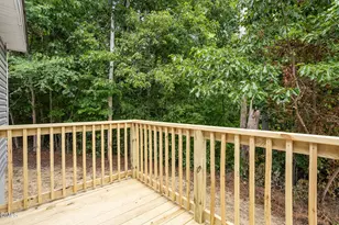 162 Lisa Cheryl Ln, Roxboro, NC 27573 - Photo 38