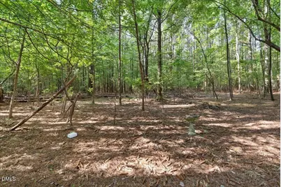 160 Baron Circle, Youngsville, NC 27596 - Photo 62