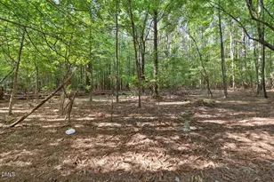 160 Baron Cir, Youngsville, NC 27596 - Photo 62