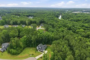 603 Gianna Dr, Clayton, NC 27527 - Photo 42