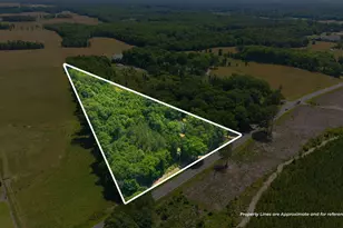 940 Nc Hwy 42, Goldston, NC 27252 - Photo 4