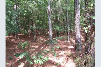 45 Mayodan Lane, Franklinton, NC 27525 - Photo 2