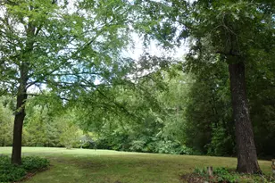 4150 Chatham Church Rd, Sanford, NC 27330 - Photo 18