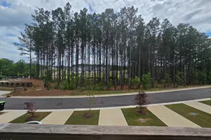 451 Carolina Spgs Blvd, Apex, NC 27539 - Photo 6