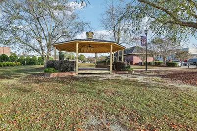 47 Thistle Patch Place, Angier, NC 27501 - Photo 30