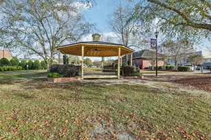 47 Thistle Patch Pl, Angier, NC 27501 - Photo 30