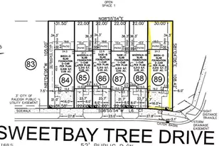 302 Sweetbay Tree Dr, Wendell, NC 27591 - Photo 4