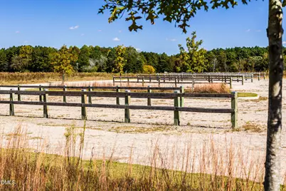304 Sweetbay Tree Drive, Wendell, NC 27591 - Photo 36