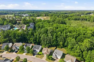 5433 Thunderidge Drive, Raleigh, NC 27610 - Photo 46