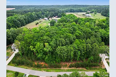 9004 Patmos Way, Wake Forest, NC 27587 - Photo 4