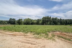 344 Barrow Mdws Dr, Zebulon, NC 27597 - Photo 6