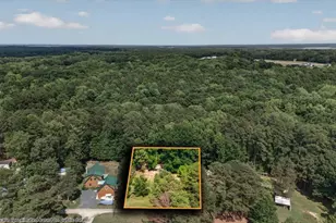149 Rabbitt Ln, Henderson, NC 27537 - Photo 38